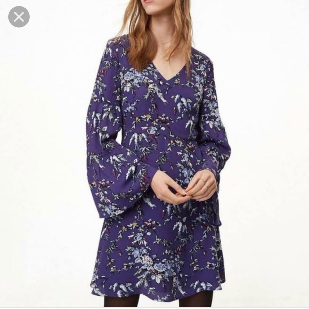 Loft Frosted Branch Floral Dress Bell Sleeve